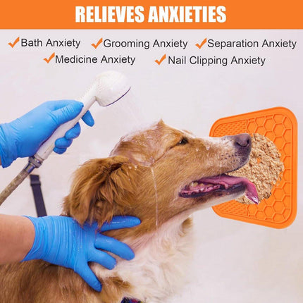 Pet Care Cartoz.