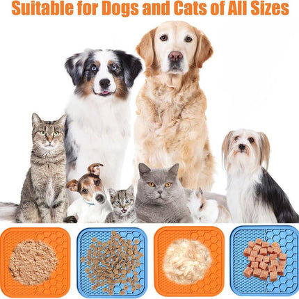 Pet Care Cartoz.