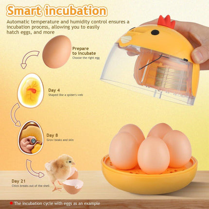 Incubator - Egg incubator | Incubator with a capacity of 4 eggs - with automatic temperature and humidity control - suitable for hatching eggs of chickens, ducks, geese, quails, parrots and other poultry.