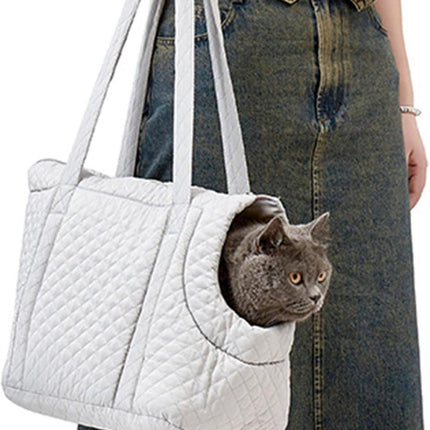 Pet Care Cartoz.
