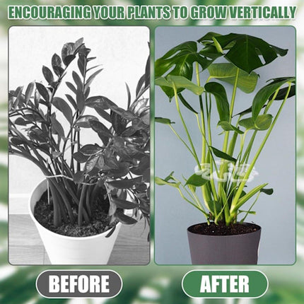 Plant Stands - Acrylic Plant Stands for Indoor and Outdoor Use - 20 Pieces.