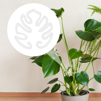 Plant Stands - Acrylic Plant Stands for Indoor and Outdoor Use - 20 Pieces.