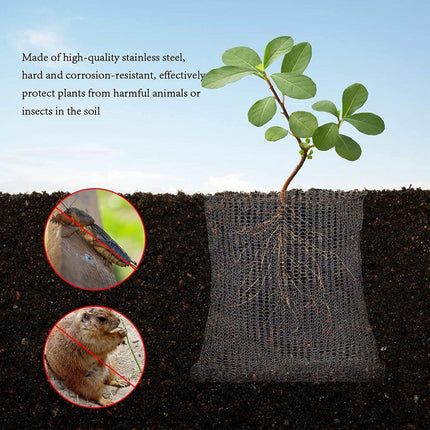Garden Tools - 3-Piece Root Protection Baskets - Gopher-Resistant Stainless Steel Wire Basket Barriers - Keep Burrowing Animals, Pests, Voles, Moles, and More Out - 24 x 24 Inches.