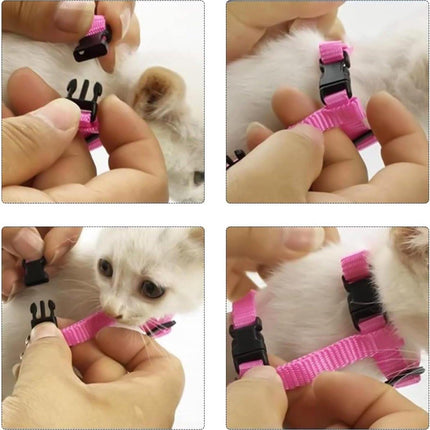 Pet Care.