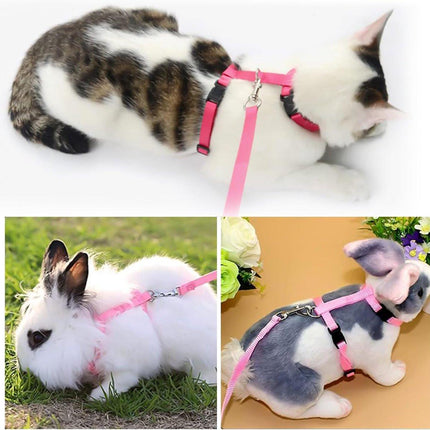 Pet Care.