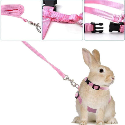 Pet Care.