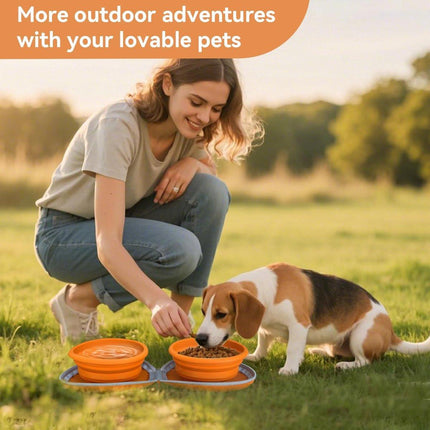 Pet Care Cartoz.