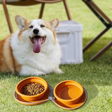 Pet Care Cartoz.