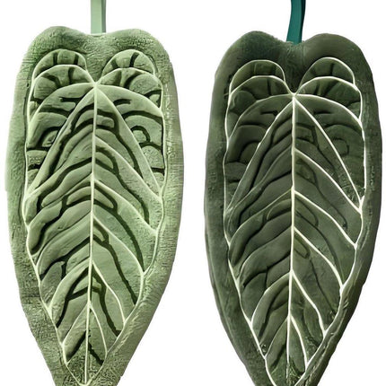Towels - Towel Set - Soft, absorbent coral fleece kitchen and bathroom towels with hanging loops for easy dishwashing and hand washing - 2-pack (dark green, light green).