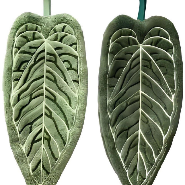 Towels - Towel Set - Soft, absorbent coral fleece kitchen and bathroom towels with hanging loops for easy dishwashing and hand washing - 2-pack (dark green, light green).