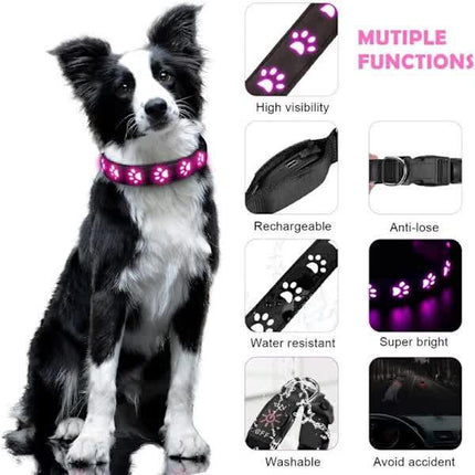 LED Luminous Dog Collar, Rechargeable and Waterproof Dog Collar, Adjustable Collar with 7 Light Modes (Colorful-M).