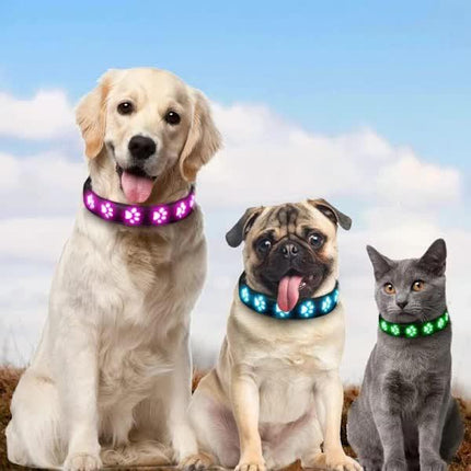 LED Luminous Dog Collar, Rechargeable and Waterproof Dog Collar, Adjustable Collar with 7 Light Modes (Colorful-M).