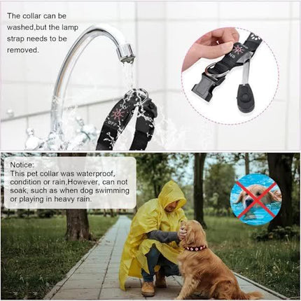 LED Luminous Dog Collar, Rechargeable and Waterproof Dog Collar, Adjustable Collar with 7 Light Modes (Colorful-M).