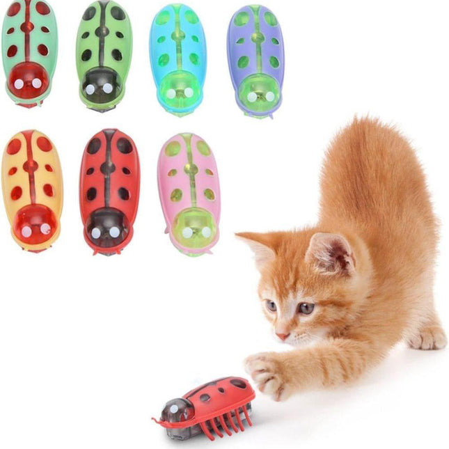 Pet Care.