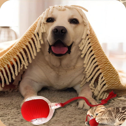 2 pcs 360° Smart Automatic Rolling Pet Ball, Rechargeable Irregular Movement for Cats & Dogs, Red.