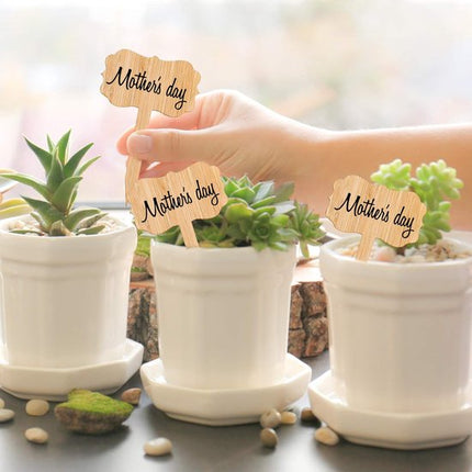 60 plant labels - Wooden plant labels - Wooden garden labels - Decorative garden labels - Suitable for seeds, herbs in pots, flowers and vegetables.