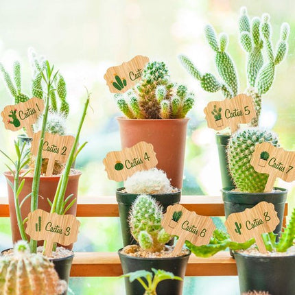 60 plant labels - Wooden plant labels - Wooden garden labels - Decorative garden labels - Suitable for seeds, herbs in pots, flowers and vegetables.