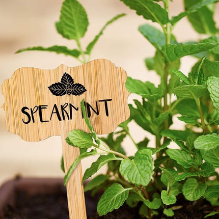 60 plant labels - Wooden plant labels - Wooden garden labels - Decorative garden labels - Suitable for seeds, herbs in pots, flowers and vegetables.