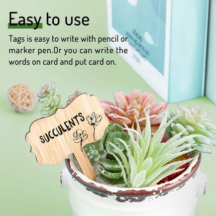 60 plant labels - Wooden plant labels - Wooden garden labels - Decorative garden labels - Suitable for seeds, herbs in pots, flowers and vegetables.
