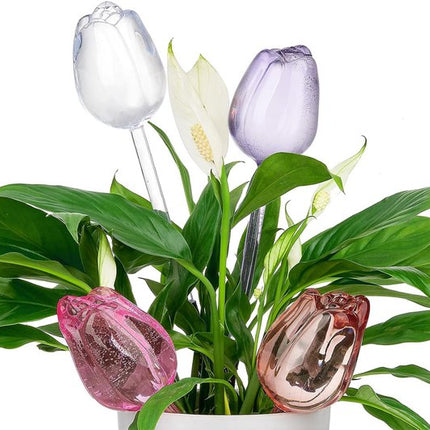 Home & Garden Cartoz.