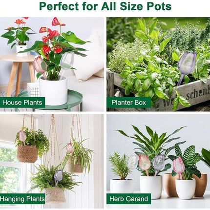 Home & Garden Cartoz.