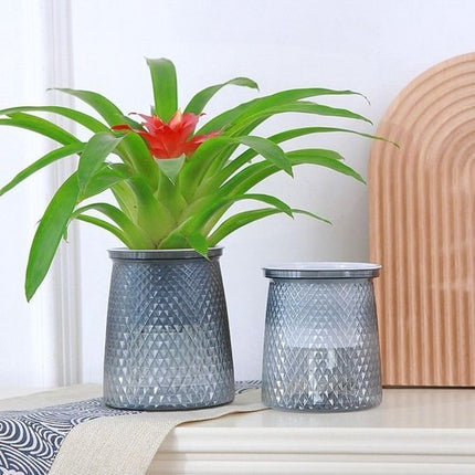 Flower pots - Plastic flower pots - sustainable garden supplies - hydroponic flower pots - visible water level - With absorbent cotton rope - Ø 10 x H 12 cm - Gray.