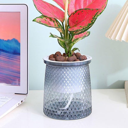 Flower pots - Plastic flower pots - sustainable garden supplies - hydroponic flower pots - visible water level - With absorbent cotton rope - Ø 10 x H 12 cm - Gray.