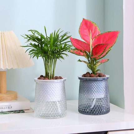 Flower pots - Plastic flower pots - sustainable garden supplies - hydroponic flower pots - visible water level - With absorbent cotton rope - Ø 10 x H 12 cm - Transparent.