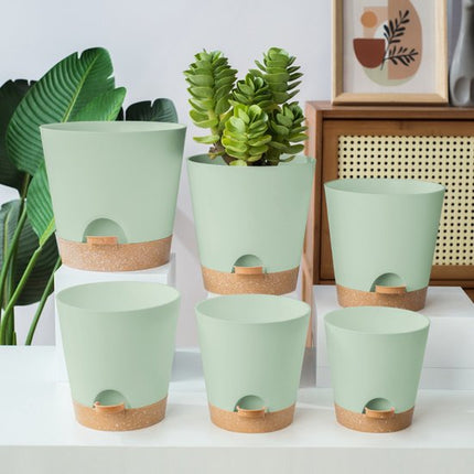 Planters - Self-watering succulents - Set of 6 tabletop planters - Minimalist design.