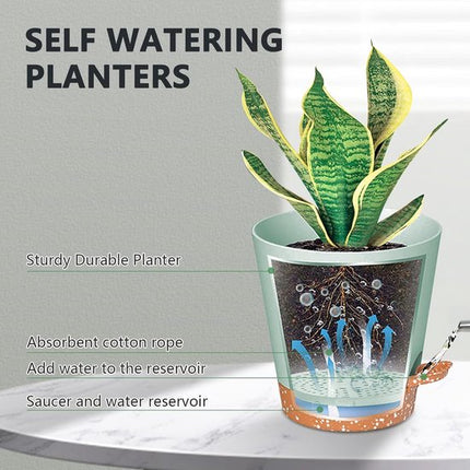 Planters - Self-watering succulents - Set of 6 tabletop planters - Minimalist design.