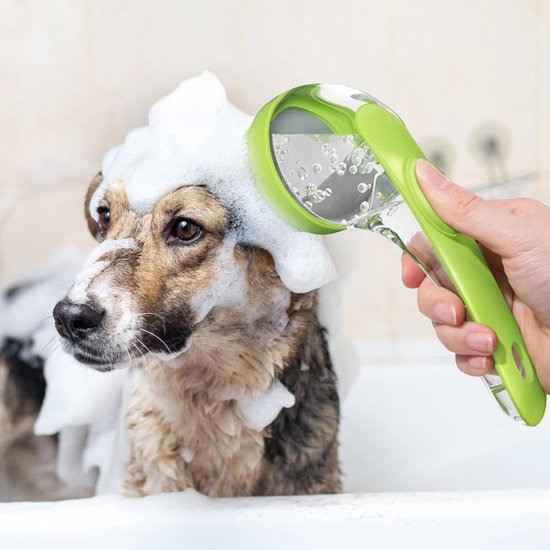 Pet Care.