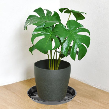 Plant bowls - 6 pieces - Round plant bowls - For flower pots, garden bowls and planters - Black.