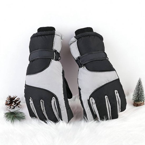 Outdoor Recreation > Snow Sports > Skiing & Accessories.