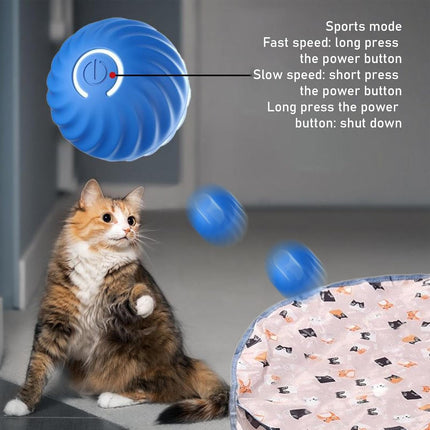 Play mat - Educational cat toy - USB automatic cat toy with three settings - 1 item.