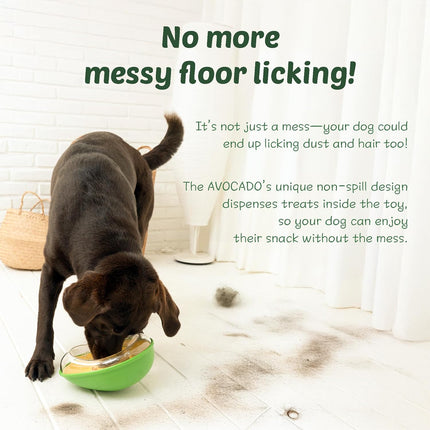 Dog Toy - Leak-Proof - Shake - Avocado - 1pc.