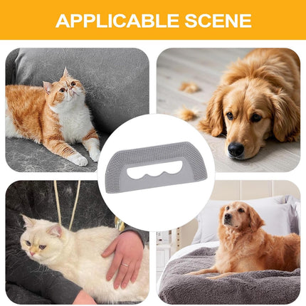 Pet Hair Remover - Mini - Carpet, Sofa, Bedding - 1 pc.
