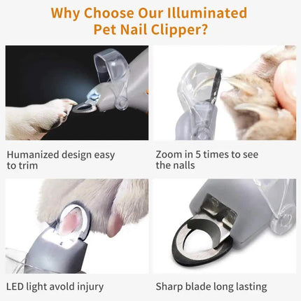 Pet Nail Clippers with LED Light - Cleaning - Orange - 1pc.
