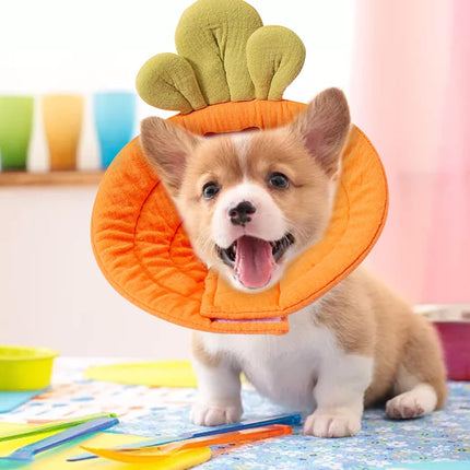 Pet Cone Collar - Soft - Prevents Licking and Biting - Carrot - Small - 1st.