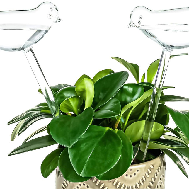 Self-watering globes, bird-shaped plant watering device, hand-blown, clear glass globe for indoor and outdoor plants, pack of 2.