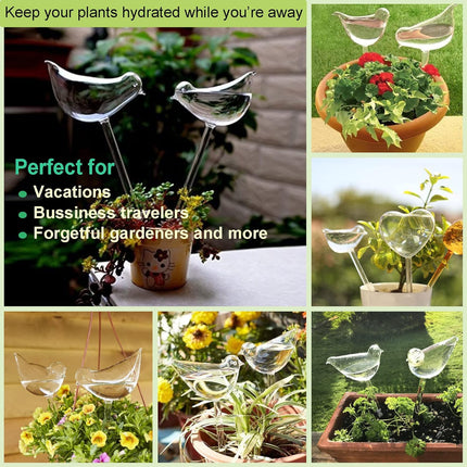 Self-watering globes, bird-shaped plant watering device, hand-blown, clear glass globe for indoor and outdoor plants, pack of 2.