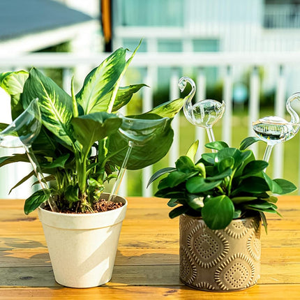 Self-watering globes, bird-shaped plant watering device, hand-blown, clear glass globe for indoor and outdoor plants, pack of 2.