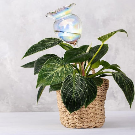 Plant Watering Balls Self-Watering Spikes Hand-Blown Laser Colorful Glass Plant Watering Balls Devices for Indoor & Outdoor Fill from Top 2 Stripe Flower Shape.