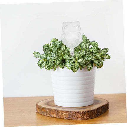 Automatic watering devices for indoor houseplants, live plants, watering spikes, glass watering balls, plastic flower pot, automatic watering devices for plants, travel PVC, The Lazy Flowers.