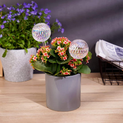 Glass Self-Watering Plant Balls, 2-Pack, Pearlescent, Clear Iridescent, Plant Watering Device, Diamond Pattern, Self-Watering Balls, Planter Insert, Decorative Holiday Watering Spikes.