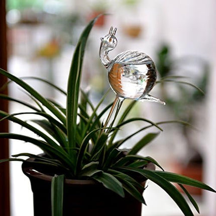 Home & Garden Cartoz.