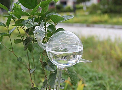 Home & Garden Cartoz.