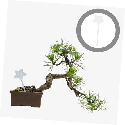 European style watering bulb self-watering device for plants chic star design transparent for houseplants and flower lovers.