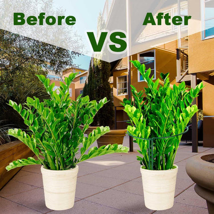 Plant Support Poles, 6-Pack Metal Peony Cages and Supports, Plant Support Cage for Garden Poles, Large Plant Support Ring for Outdoor and Indoor Use, Snake Plant, Peony, Flower Tendril (25cm W x 40cm H).