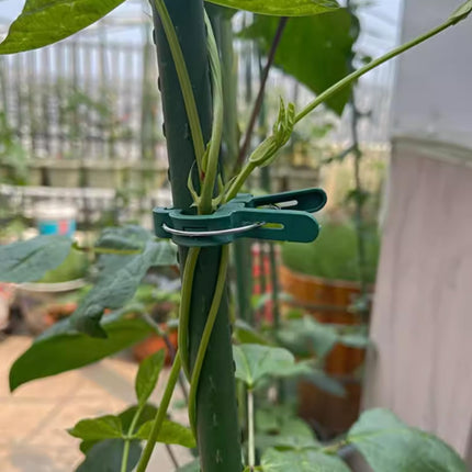 40 pieces plant clips, garden clips, plant clips, reusable tomato clips, multifunctional rattan plant clips, rose clips, sturdy cucumber clips, orchid clips, plant support, adjustable clips, green (20 large and 20 small).
