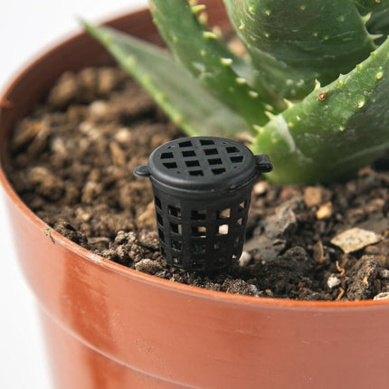 Home & Garden Cartoz.